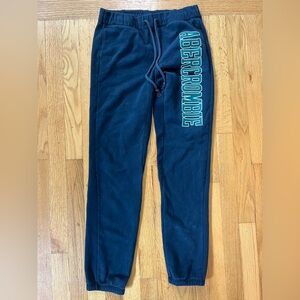 Abercrombie & Fitch Navy Sweatpants